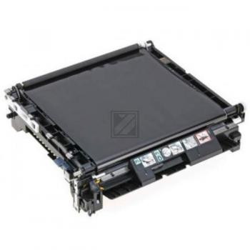 Epson Transfer-Unit (C13S053024)