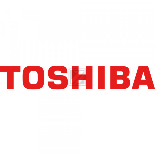 Toshiba Entwickler (41330500000, D-1200)