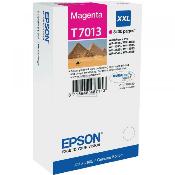 Epson Tintenpatrone magenta HC plus (C13T70134010, T7013)